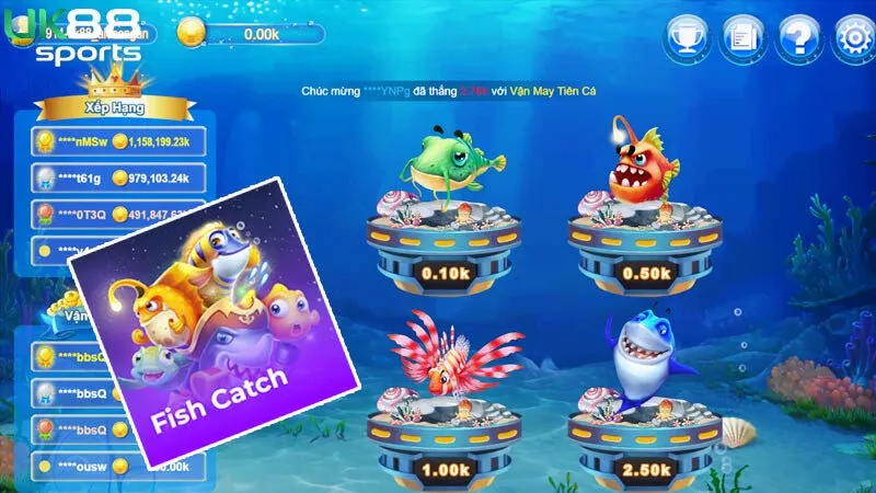 Giới thiệu game Fish Catch với lối chơi gây nghiện